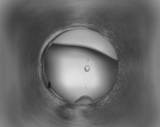 X0000064050342200601271004