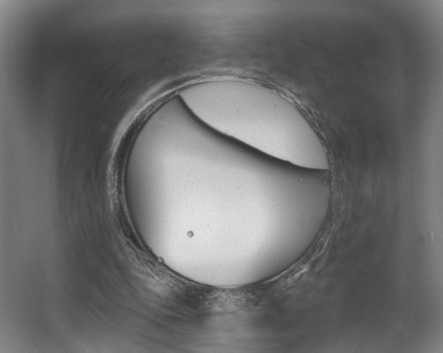 X0000064050343200601271004