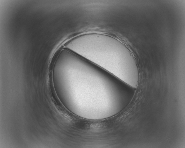 X0000064050344200601271004