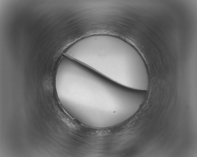 X0000064050345200601271004