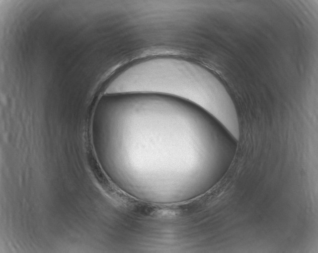 X0000064050352200601271004