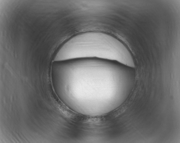 X0000064050353200601271004