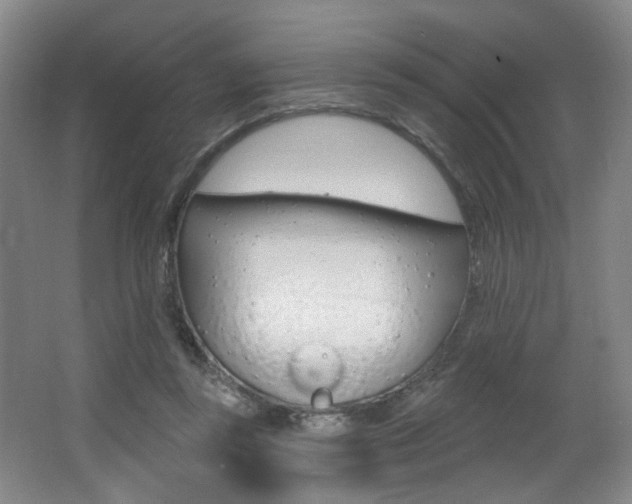 X0000064050355200601271004