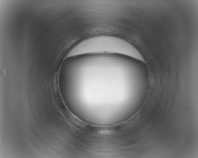 X0000064050360200601271004