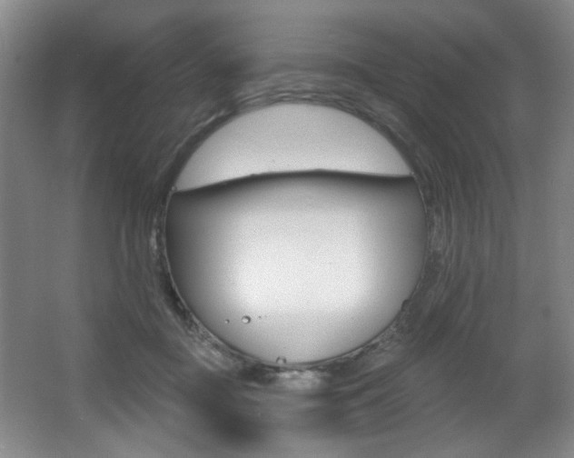 X0000064050363200601271004