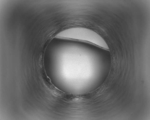 X0000064050364200601271004