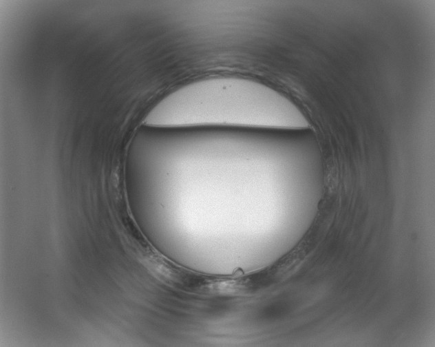 X0000064050365200601271004