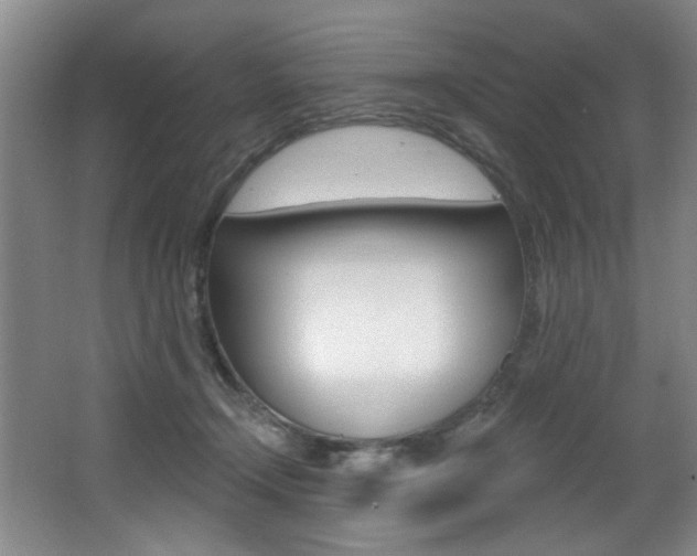 X0000064050366200601271004