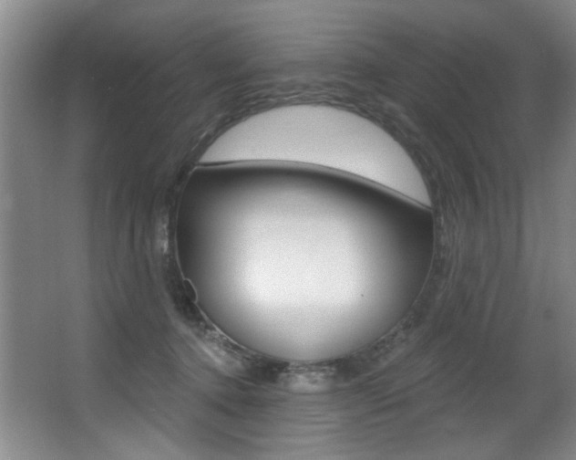 X0000064050368200601271004