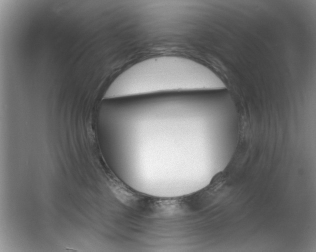 X0000064050377200601271005