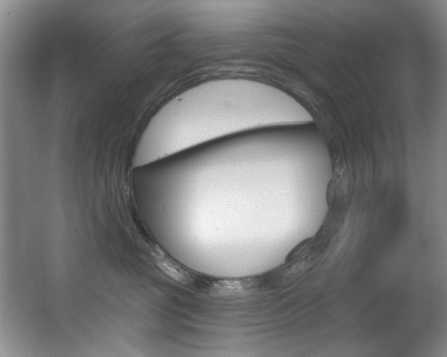 X0000064050381200601271005