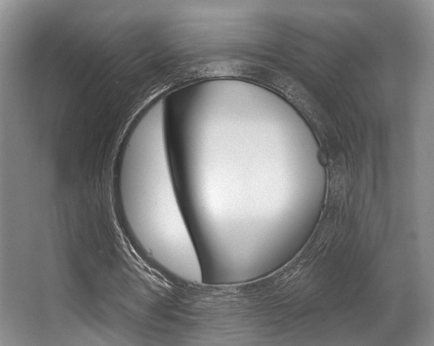 X0000064050386200601271004