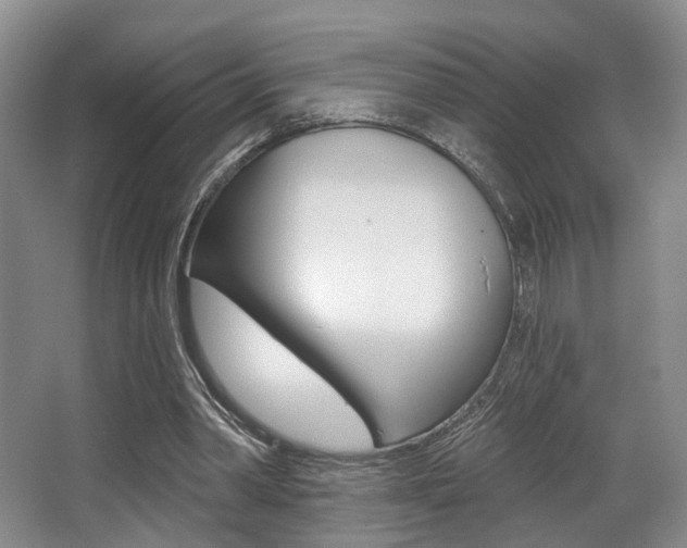 X0000064050390200601271004