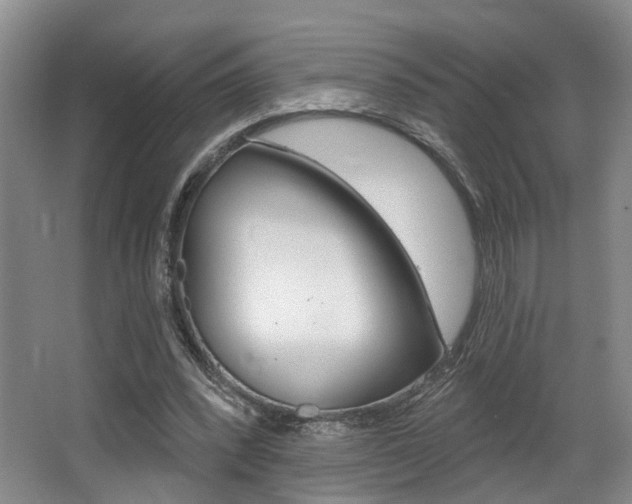 X0000064050392200601271004