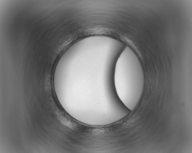 X0000064050394200601271004