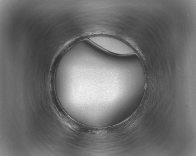 X0000064050395200601271004
