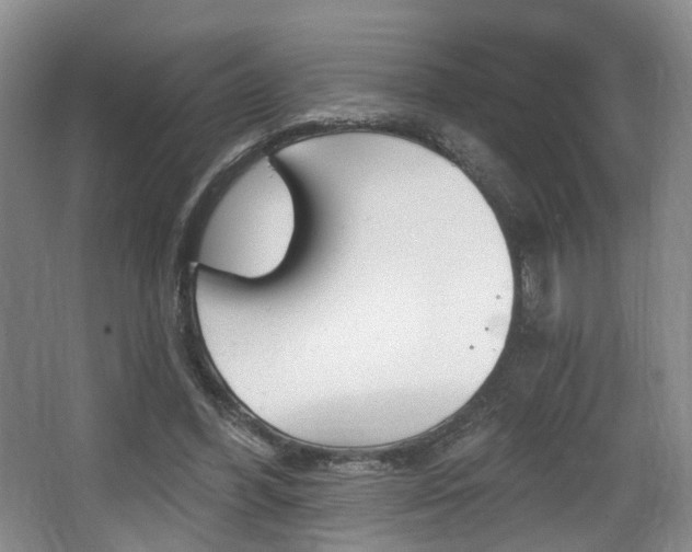 X0000064050396200601271004