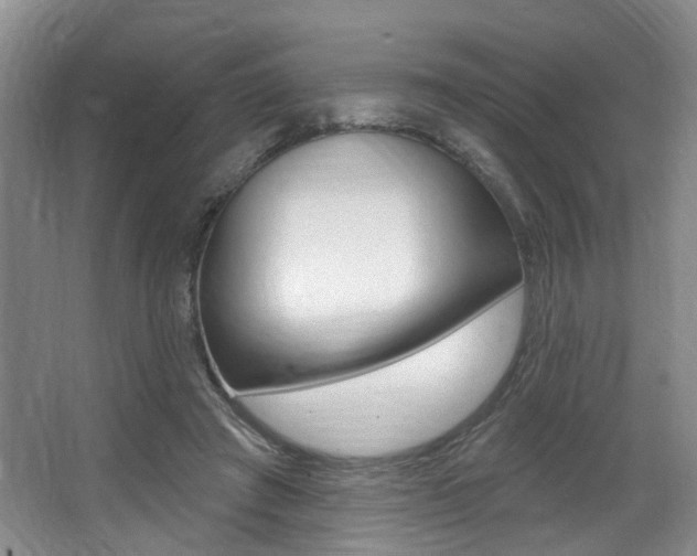X0000064050401200601271004