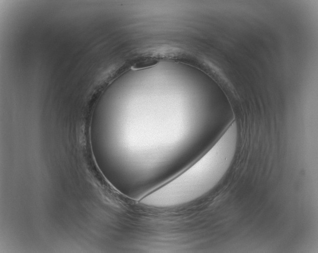 X0000064050403200601271004
