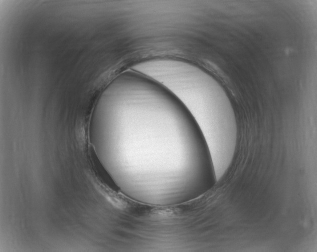 X0000064050405200601271004
