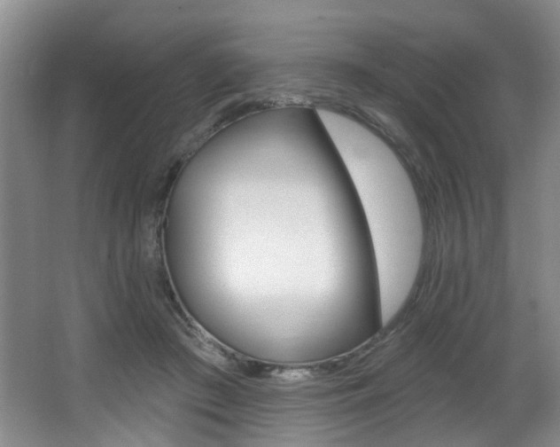 X0000064050409200601271003