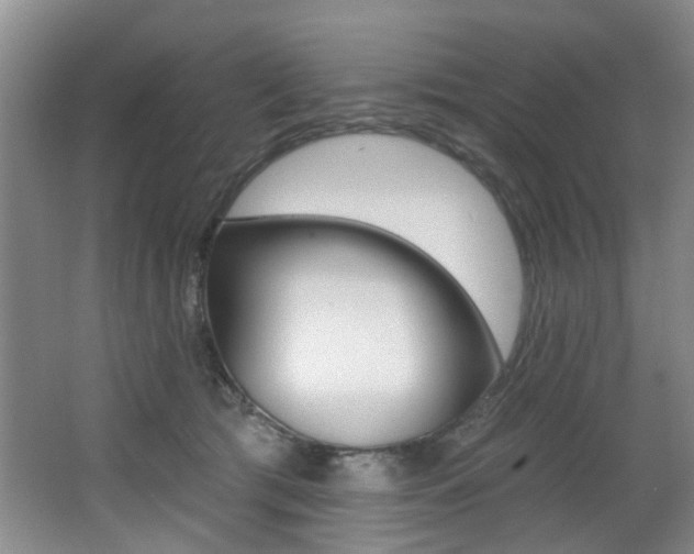 X0000064050417200601271003