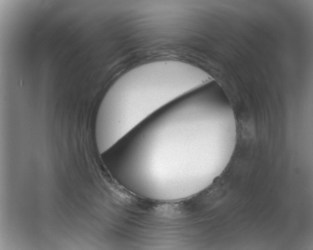 X0000064050422200601271003