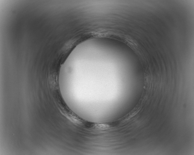 X0000064050429200601271003