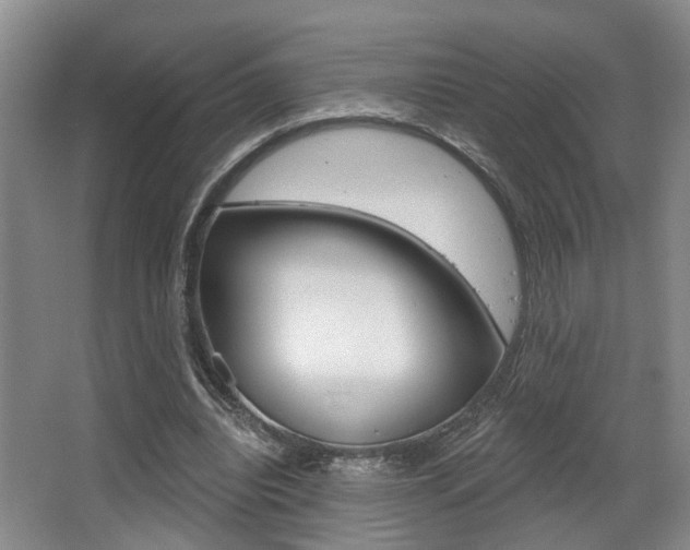 X0000064050440200601271002