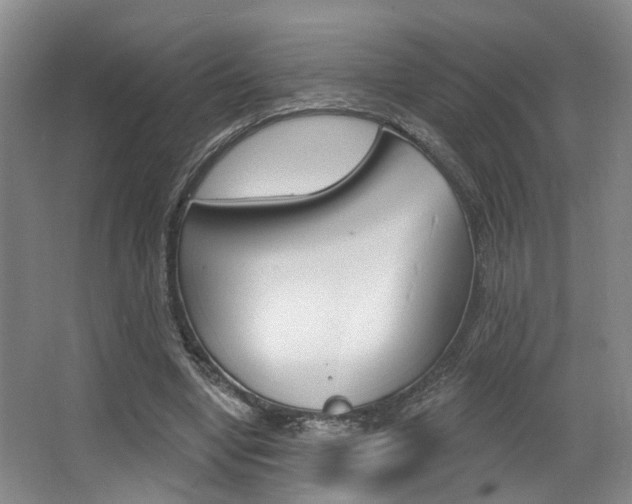 X0000064050442200601271002