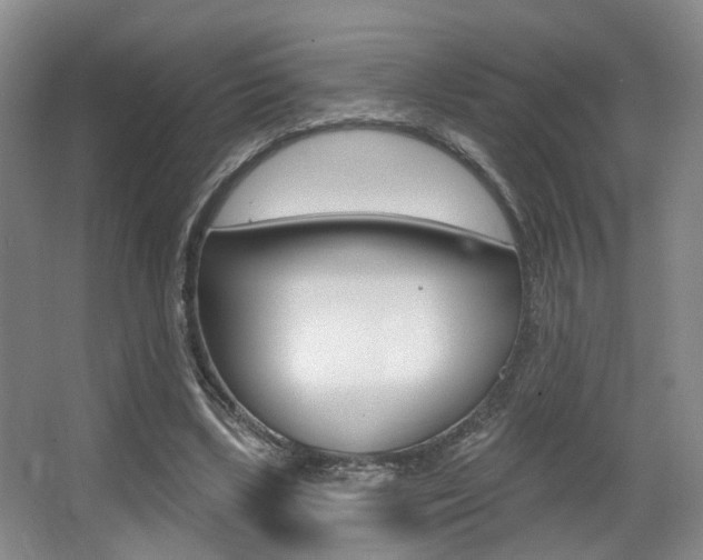 X0000064050443200601271002