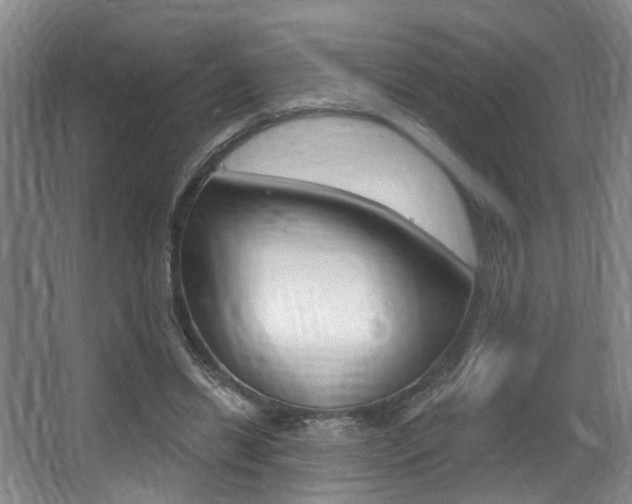X0000064050446200601271002