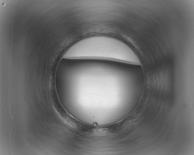 X0000064050451200601271003