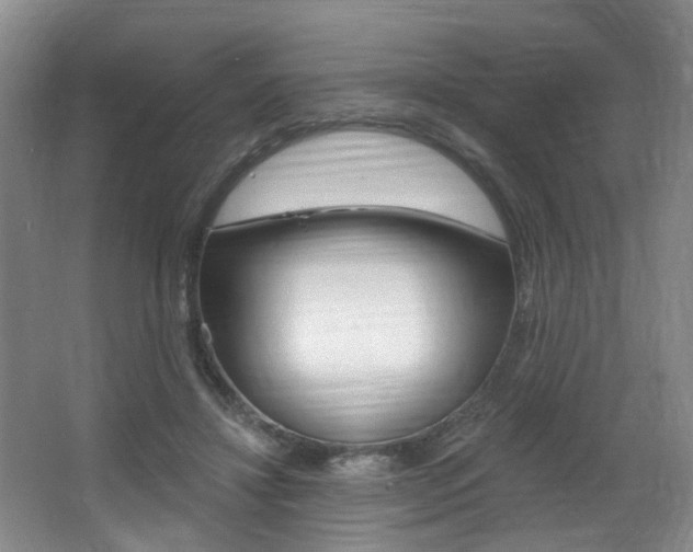 X0000064050452200601271003