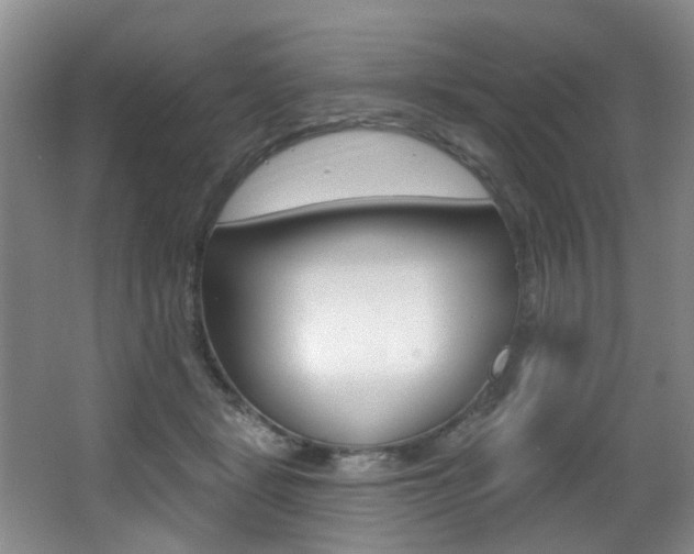 X0000064050461200601271003
