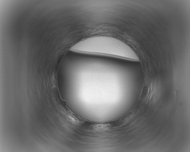 X0000064050465200601271003