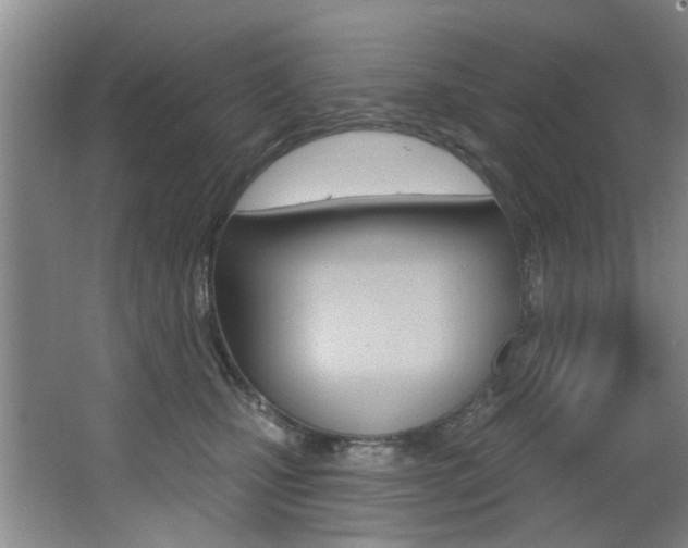 X0000064050471200601271003