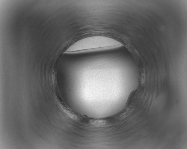 X0000064050476200601271003