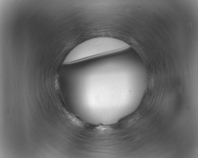 X0000064050477200601271003