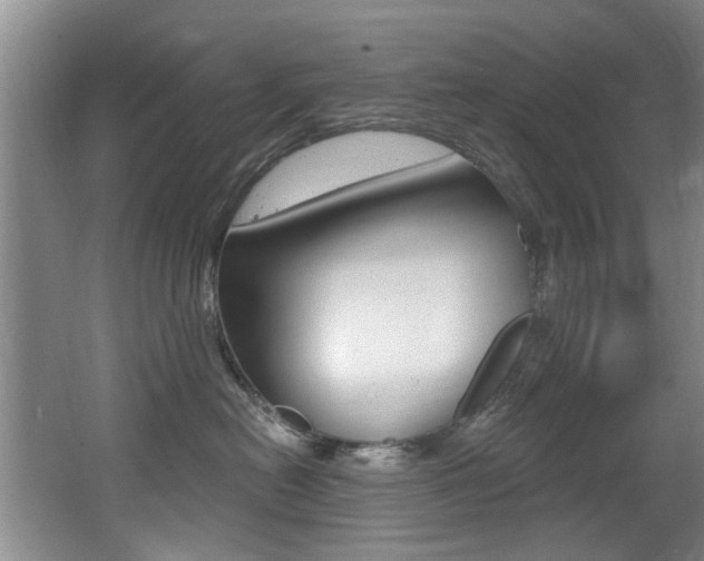X0000064050478200601271003