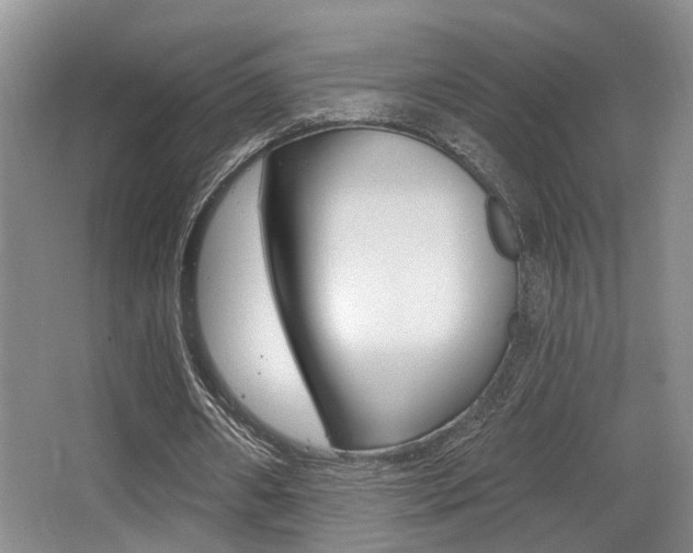 X0000064050482200601271002