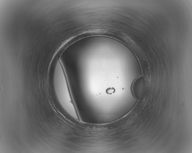 X0000064050484200601271002