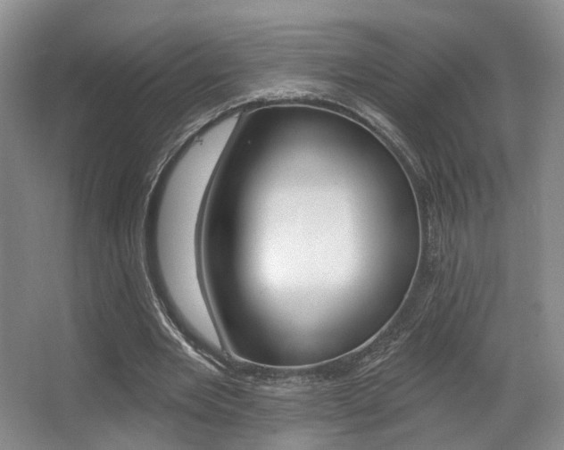 X0000064050485200601271002