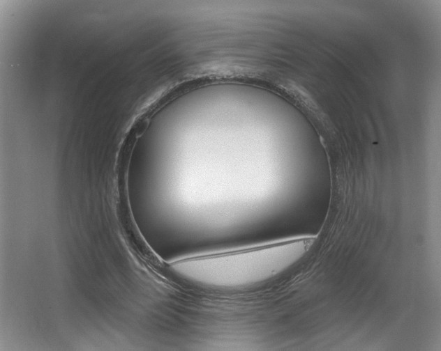 X0000064050488200601271002