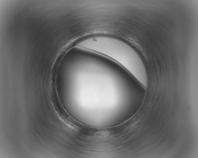 X0000064050492200601271002