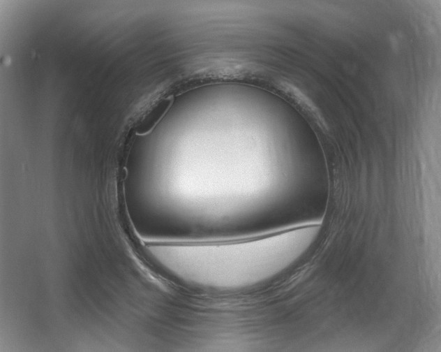X0000064050493200601271002