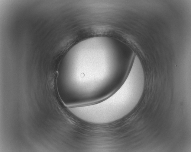 X0000064050505200601271002