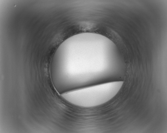 X0000064050510200601271002
