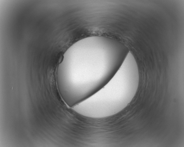X0000064050511200601271002