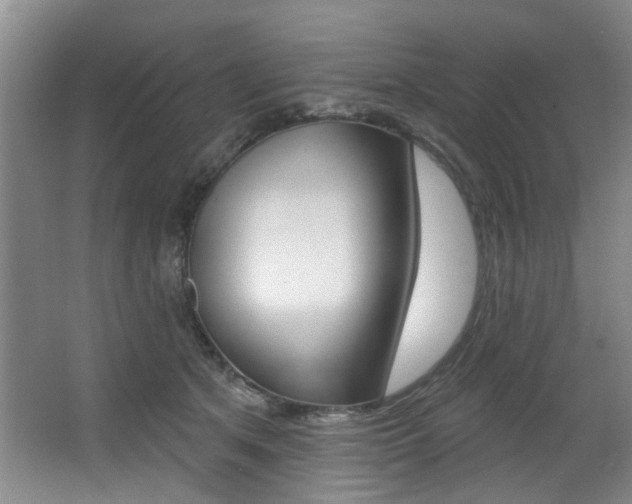 X0000064050513200601271002